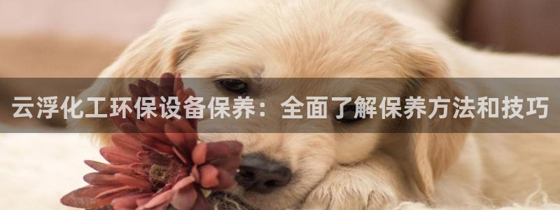 亿万先生客服联系：云浮化工环保设备保养：全面了解保养方法和技巧
