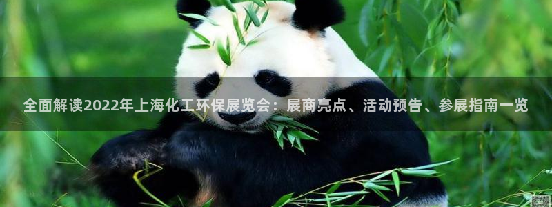 mr亿万先生：全面解读2022年上海化工环保展览会：展商亮点、活动预告、参展指南一览