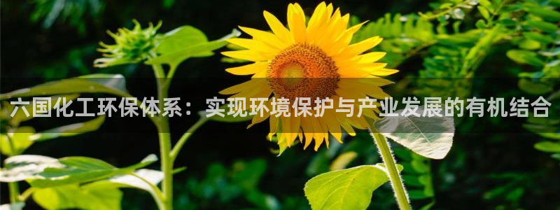 亿万红包版下载正版：六国化工环保体系：实现环境保护与产业发展的有机结合