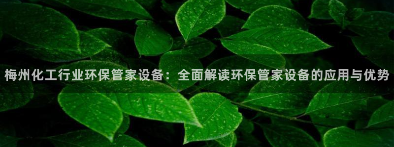 亿万先生：梅州化工行业环保管家设备：全面解读环保管家设备的应用与优势