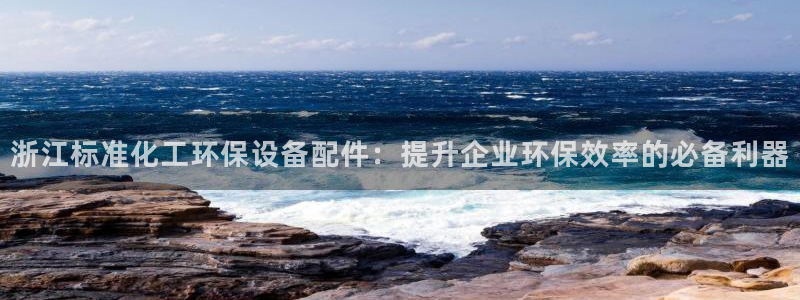 亿万先生网页在线客服：浙江标准化工环保设备配件：提升企业环保效率的必备利器