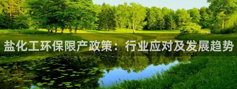 亿万先生官方网站客户端下载安装手机版：盐化工环保限产政策：行业应对及发展趋势