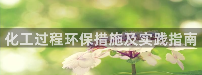 亿万国际合法吗：化工过程环保措施及实践指南