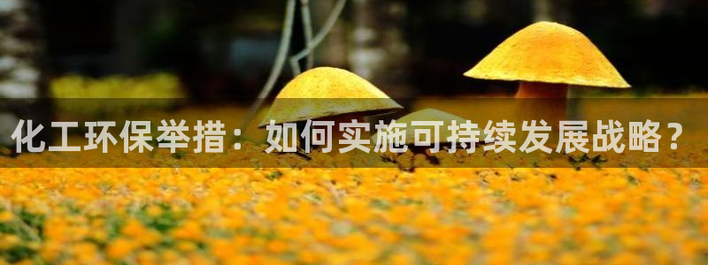 亿万billions：化工环保举措：如何实施可持续发展战略？
