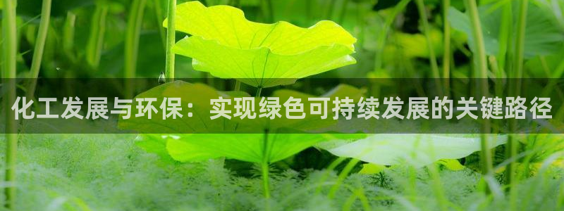 亿万集团：化工发展与环保：实现绿色可持续发展的关键路径
