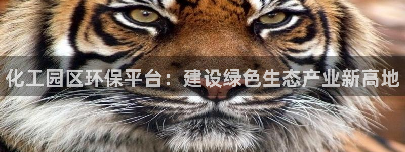 亿万先生客服联系方式是什么：化工园区环保平台：建设绿色生态产业新高地