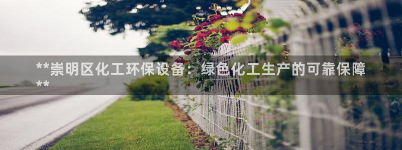亿万第一集：**崇明区化工环保设备：绿色化工生产的可靠保障
**