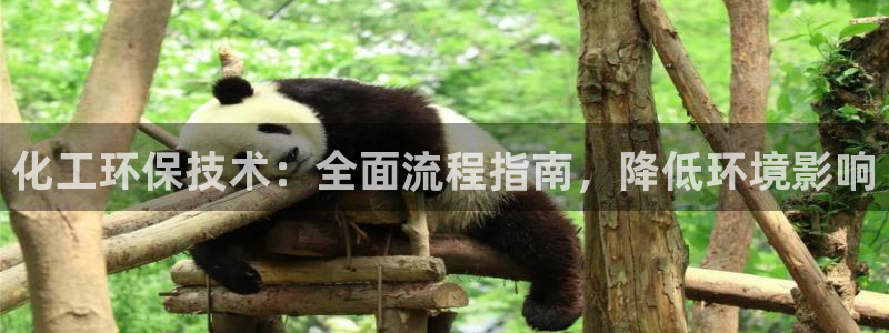 亿万第一集：化工环保技术：全面流程指南，降低环境影响