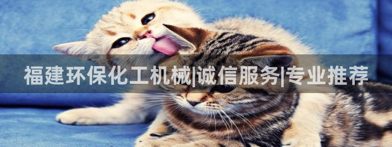 亿万国际：福建环保化工机械|诚信服务|专业推荐