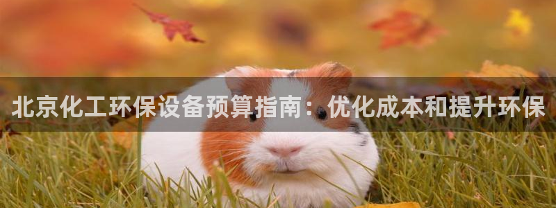 亿万网友在线实时为您解答问题：北京化工环保设备预算指南：优化成本和提升环保