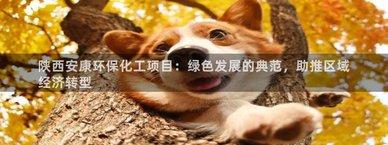 亿万解析：陕西安康环保化工项目：绿色发展的典范，助推区域
经济转型
