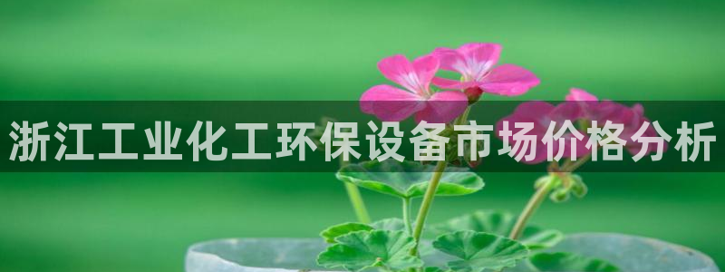 亿万啥意思：浙江工业化工环保设备市场价格分析