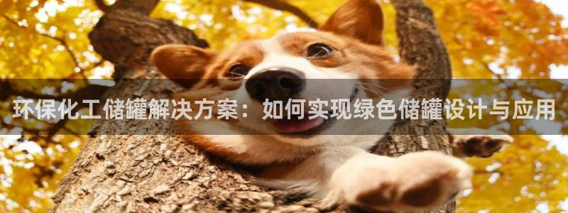 亿万先生007网页登录：环保化工储罐解决方案：如何实现绿色储罐设计与应用