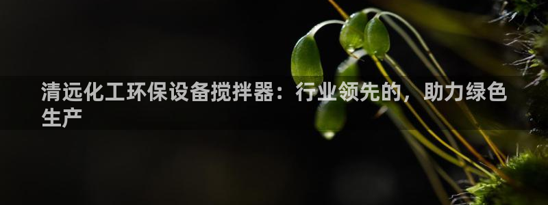 亿万国际游戏官网手机版：清远化工环保设备搅拌器：行业领先的，助力绿色
生产