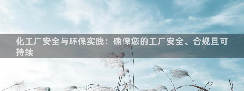 mr07亿万先生：化工厂安全与环保实践：确保您的工厂安全、合规且可
持续