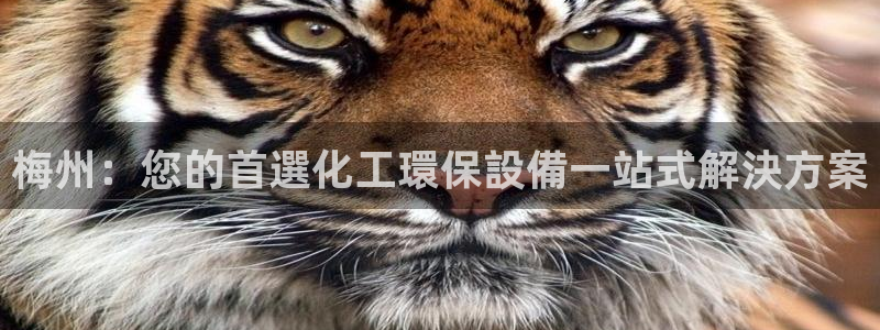 亿万先生007客服：梅州：您的首選化工環保設備一站式解決方案