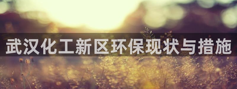 亿万先生游戏：武汉化工新区环保现状与措施