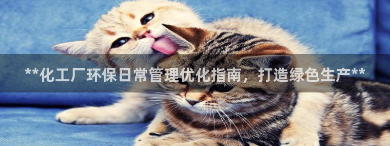 亿万堂官网：**化工厂环保日常管理优化指南，打造绿色生产**