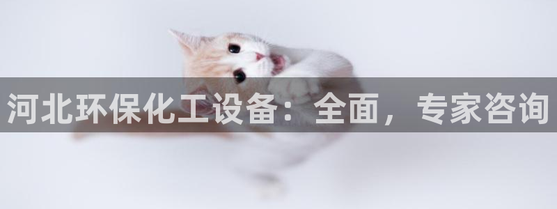亿万手游官网首页：河北环保化工设备：全面，专家咨询