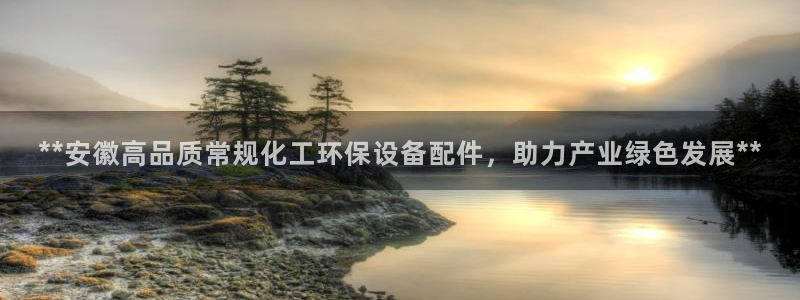 亿万先生官方网站首页：**安徽高品质常规化工环保设备配件，助力产业绿色发展**