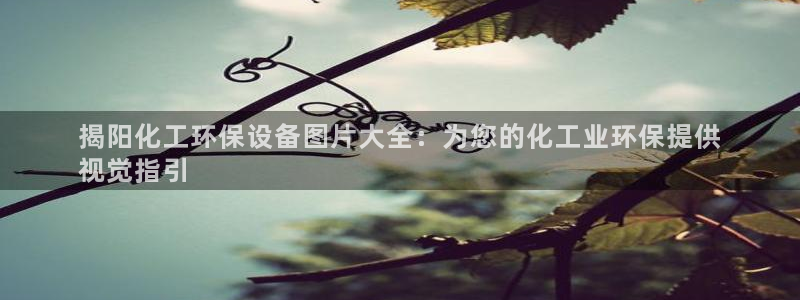 亿万讲了什么：揭阳化工环保设备图片大全：为您的化工业环保提供
视觉指引