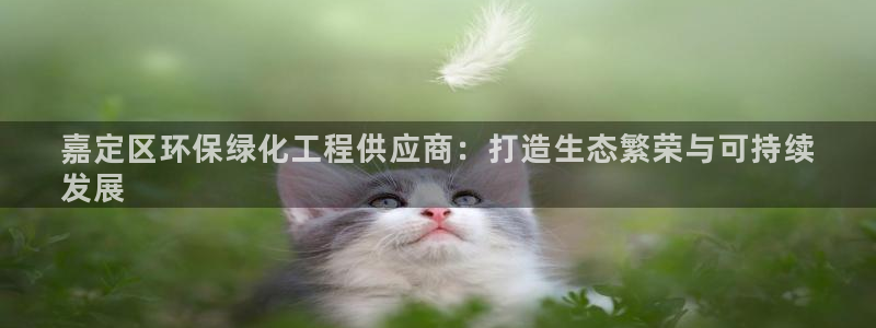 亿万第一季字幕：嘉定区环保绿化工程供应商：打造生态繁荣与可持续
发展