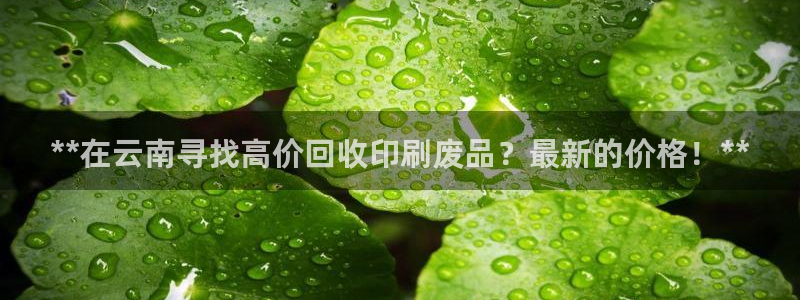 亿万先生007网页登录：**在云南寻找高价回收印刷废品？最新的价格！**