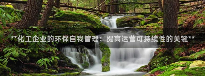 亿万的亿：**化工企业的环保自我管理：提高运营可持续性的关键**