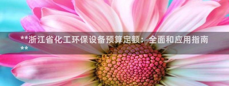 亿万网友在线实时为您解答问题：**浙江省化工环保设备预算定额：全面和应用指南
**