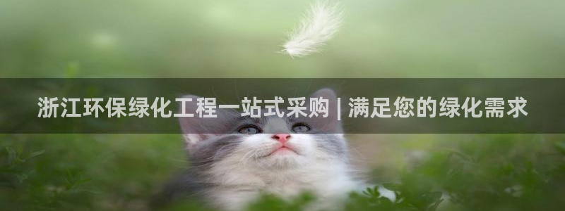 亿万先生手游下载：浙江环保绿化工程一站式采购 | 满足您的绿化需求