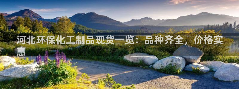 亿万先生客户端下载安装：河北环保化工制品现货一览：品种齐全，价格实
惠