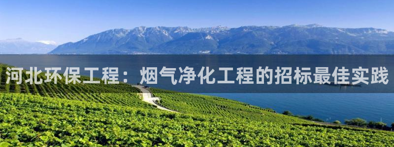 亿万先生客服：河北环保工程：烟气净化工程的招标最佳实践