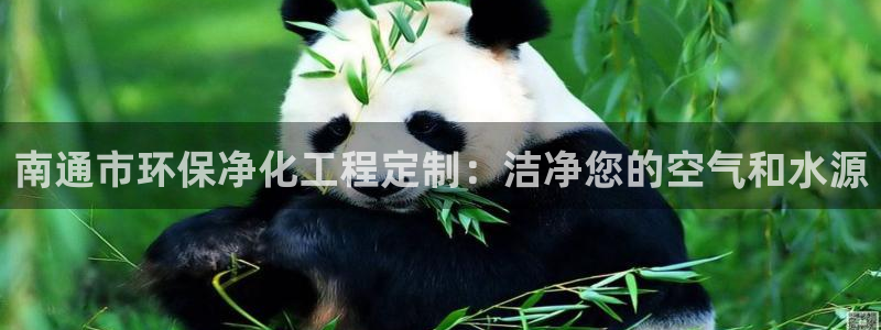 亿万先生 菲律宾：南通市环保净化工程定制：洁净您的空气和水源