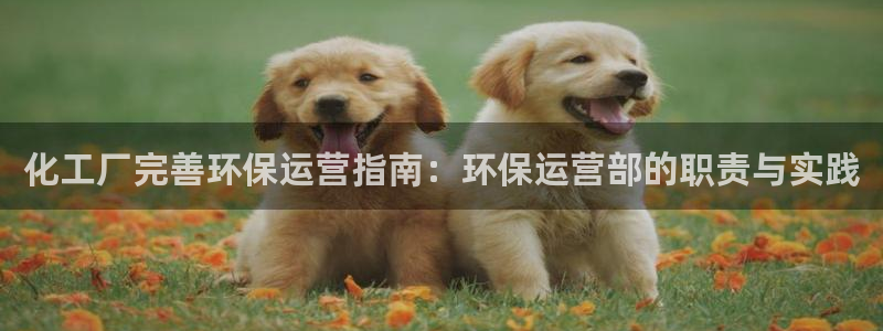 亿万啥意思：化工厂完善环保运营指南：环保运营部的职责与实践