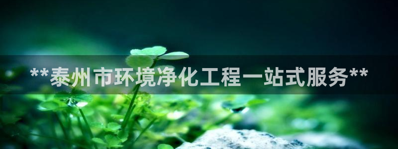 亿万 在线：**泰州市环境净化工程一站式服务**