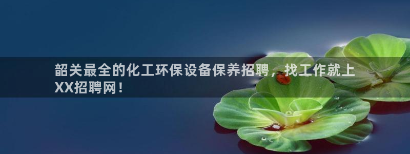 亿万首富手游：韶关最全的化工环保设备保养招聘，找工作就上
XX招聘网！