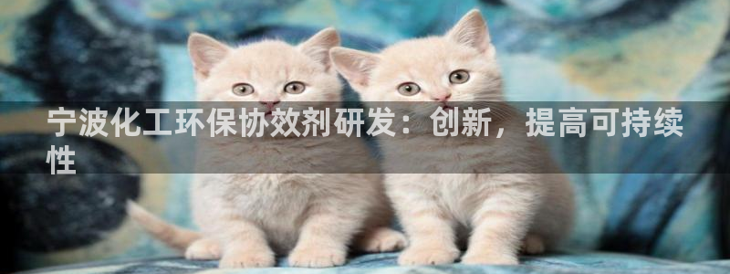 亿万28下载地址：宁波化工环保协效剂研发：创新，提高可持续
性