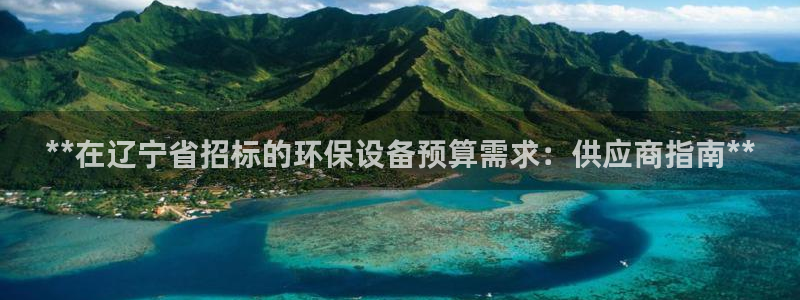 亿万先生手机版入口在哪：**在辽宁省招标的环保设备预算需求：供应商指南**