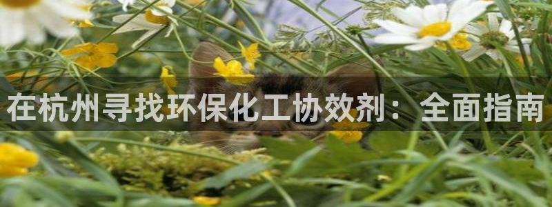 亿万讲了什么：在杭州寻找环保化工协效剂：全面指南