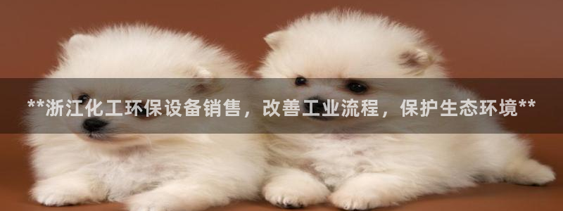 亿万讲了什么：**浙江化工环保设备销售，改善工业流程，保护生态环境**