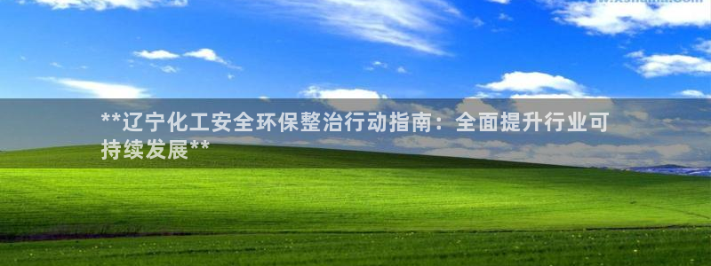 亿万先生充电桩：**辽宁化工安全环保整治行动指南：全面提升行业可
持续发展**