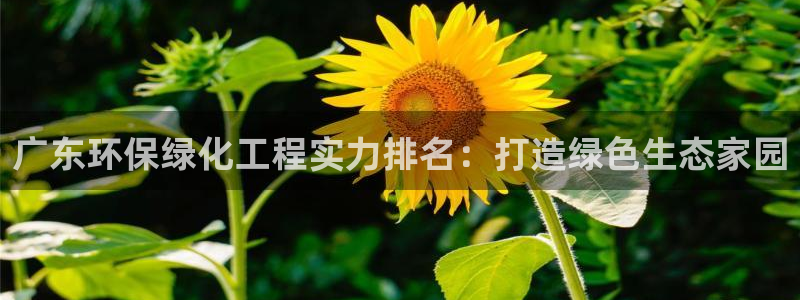 亿万先生手游下载官网：广东环保绿化工程实力排名：打造绿色生态家园