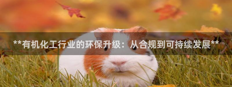 亿万百度百科官网：**有机化工行业的环保升级：从合规到可持续发展**