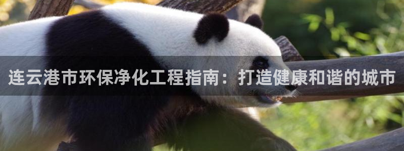 亿万首富手游兑换码：连云港市环保净化工程指南：打造健康和谐的城市