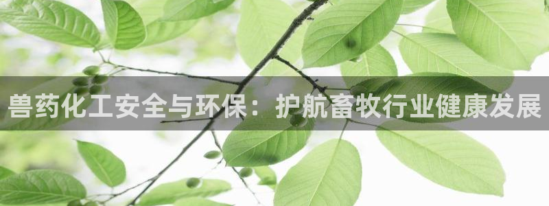 亿万手游官网：兽药化工安全与环保：护航畜牧行业健康发展