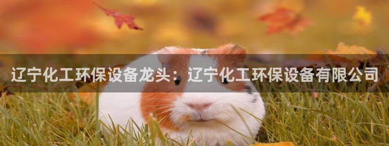 亿万先生官方网站客户端下载安装最新版：辽宁化工环保设备龙头：辽宁化工环保设备有限公司
