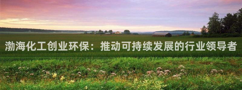 亿万先生客户端官网登录不了：渤海化工创业环保：推动可持续发展的行业领导者