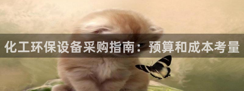 亿万先生客服联系方式：化工环保设备采购指南：预算和成本考量