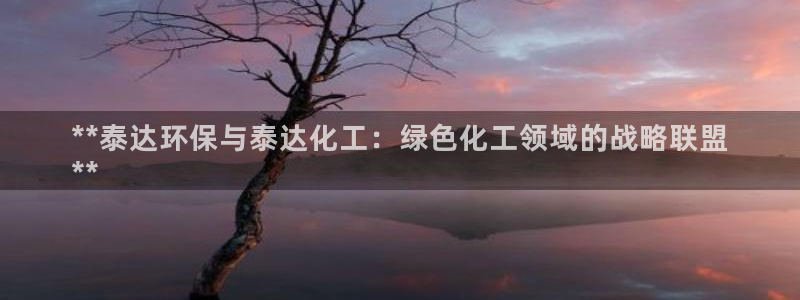 亿万视频：**泰达环保与泰达化工：绿色化工领域的战略联盟
**