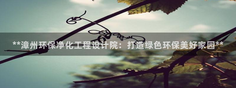 亿万国际游戏官网手机版：**漳州环保净化工程设计院：打造绿色环保美好家园**